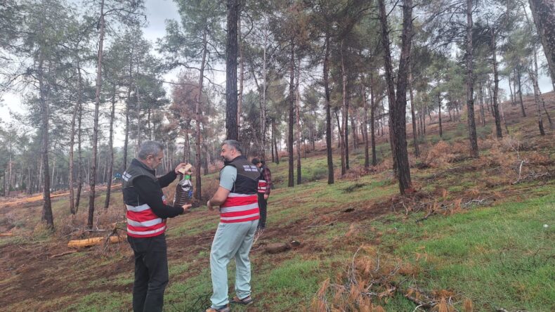 Amaç Sağlıklı Ağaçları Korumak