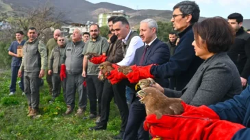 Tedavisi Tamamlanan Yabani Kuşlar Doğaya Salındı