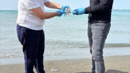 İSTE’den Denizanası Yığılmalarına Saha İncelemesi